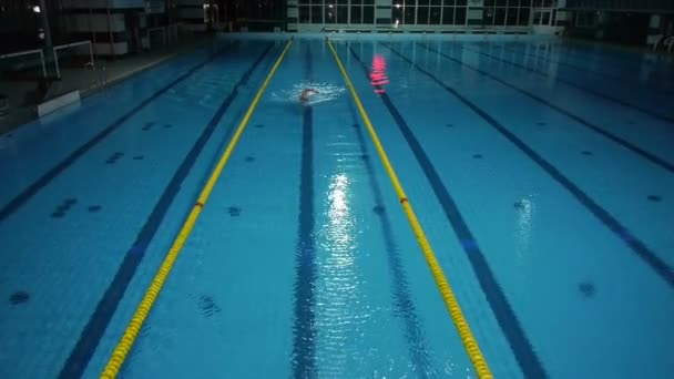 Profesyonel yüzücü — Stok video
