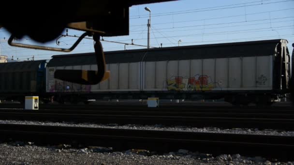 Грузовой поезд проезжает мимо — стоковое видео