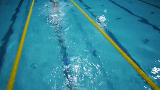 Nuotatore professionista — Video Stock