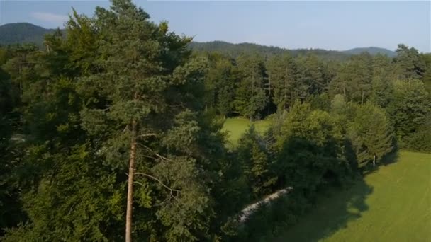 Terrain de golf 