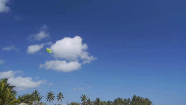 Volando una cometa en la playa — Vídeo de stock