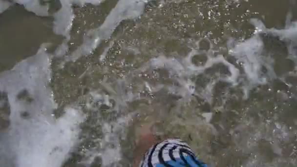 Wandelen op het strand — Stockvideo