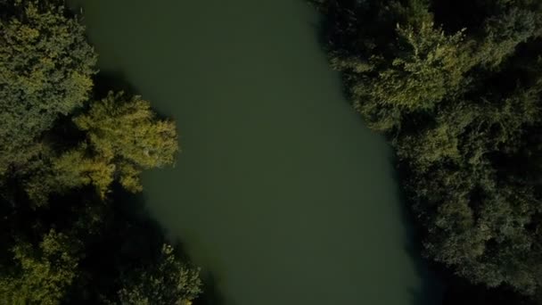 Río visto desde el cielo — Vídeo de stock