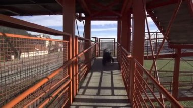 serbest çalışan ve parkour