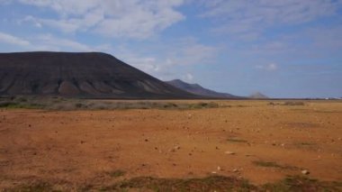Kanarya Adası'çöl
