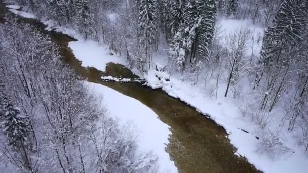 冬季景观 — 图库视频影像