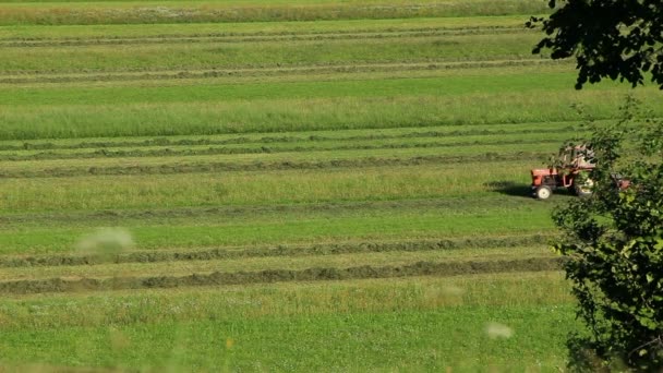 Тракторный сбор сена — стоковое видео
