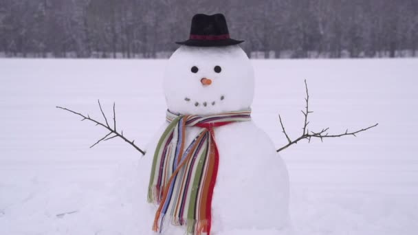 Man breken een sneeuwpop — Stockvideo