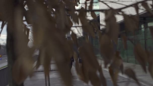 Compañeros de trabajo skateboarding para trabajar — Vídeo de stock