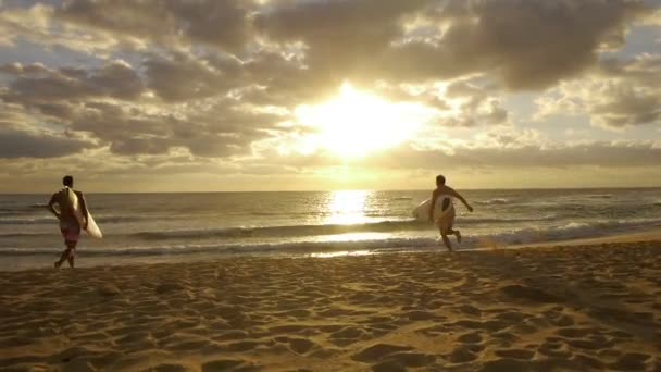 Surfaři běh do oceánu na východ slunce — Stock video