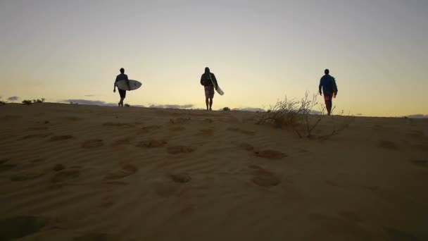 Silhouette of surfers at sunrise — Stock Video