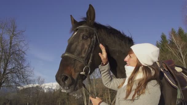 Woman and horse in winter — Stock Video