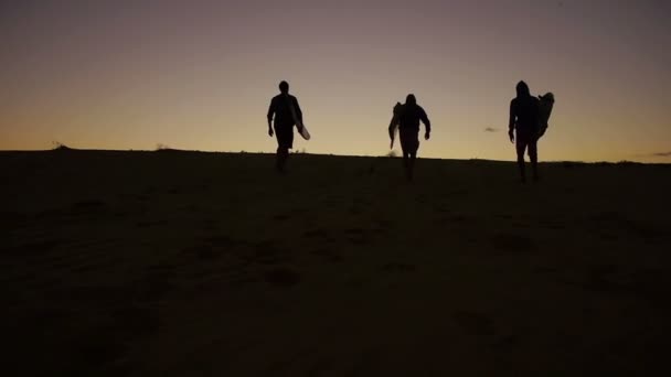 Silhouet van surfers bij zonsopgang — Stockvideo