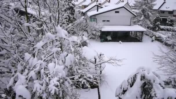 Ciudad de invierno cubierta de nieve — Vídeo de stock