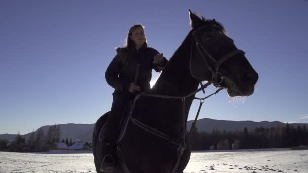 Chica cabalgando caballo negro — Vídeo de stock