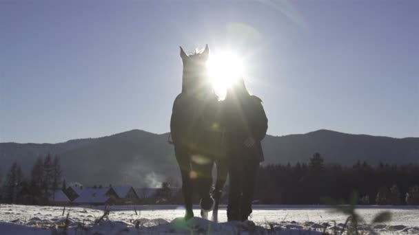 Mulher e cavalo no inverno — Vídeo de Stock