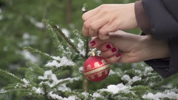 Decorar árbol de navidad — Vídeos de Stock