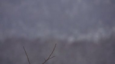 alanın ortasında kardan adam