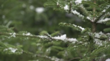 Noel ağacı süsleme