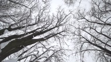 Düşen kar taneleri