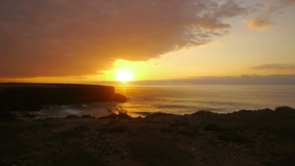 Vuelo al atardecer — Vídeo de stock