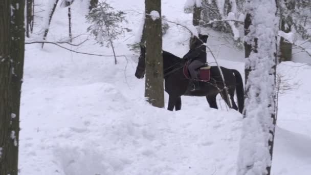 Flicka och ridning genom skogen — Stockvideo