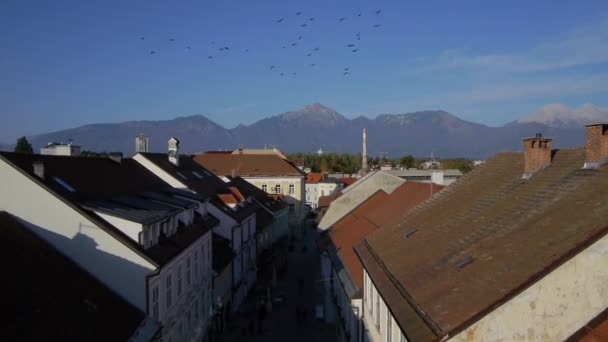 Dachy z ptaków przelatujących przez — Wideo stockowe