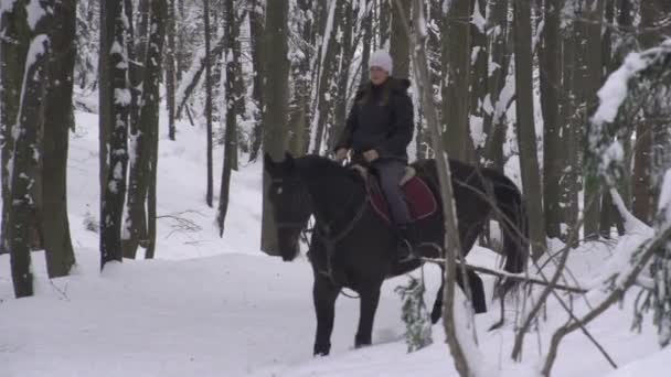 年轻女子骑马 — 图库视频影像