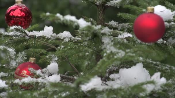 Díszítő karácsonyfa — Stock videók