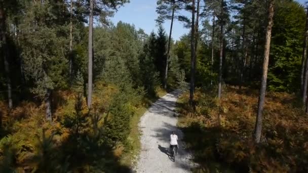 Promenade à vélo dans la forêt 