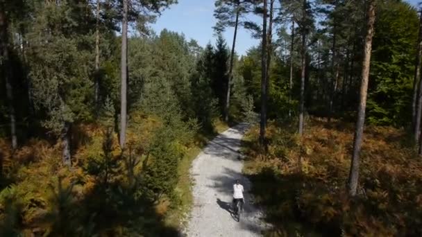 Ridning cykel genom skogen — Stockvideo