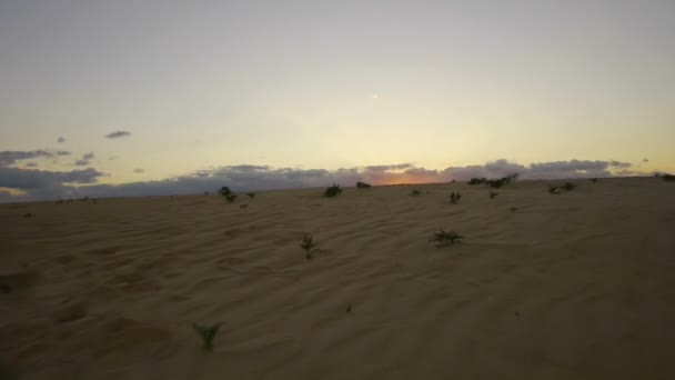 Praia ao nascer do sol — Vídeo de Stock