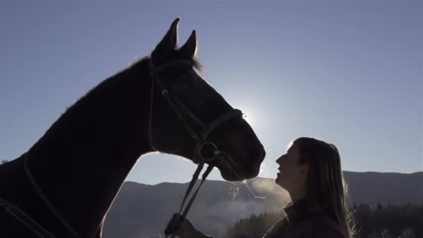 Flickan kysser häst — Stockvideo