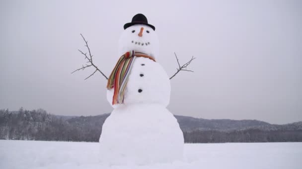 Snögubbe i vinterlandskap — Stockvideo