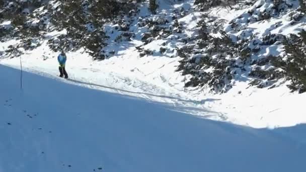 Snowboarder haciendo spray de nieve — Vídeos de Stock