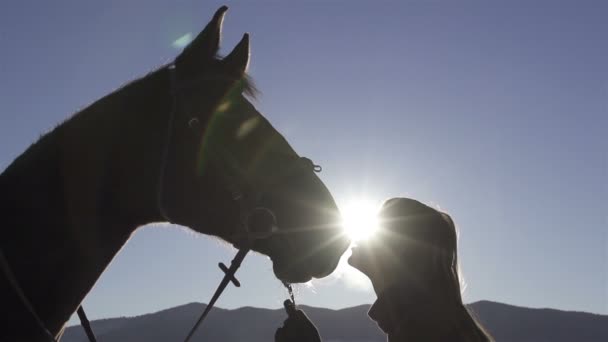 Menina beijando cavalo — Vídeo de Stock