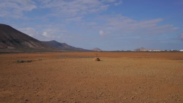 Bien en el desierto — Vídeos de Stock