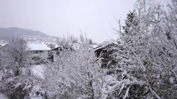 Сніг у маленькому містечку — стокове відео