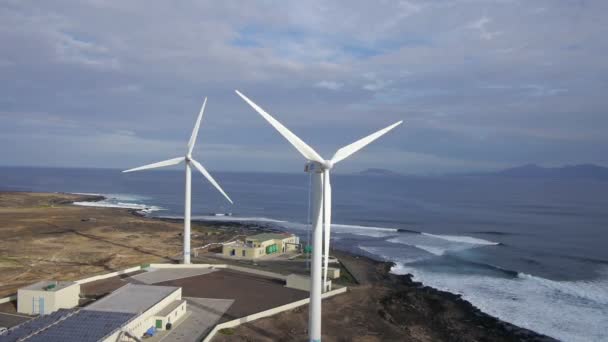 Les éoliennes au bord de la mer — Video