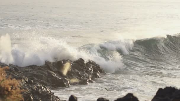 Grande onda oceanica — Video Stock