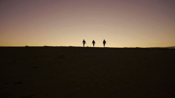 Silueta de surfistas al amanecer — Vídeo de stock