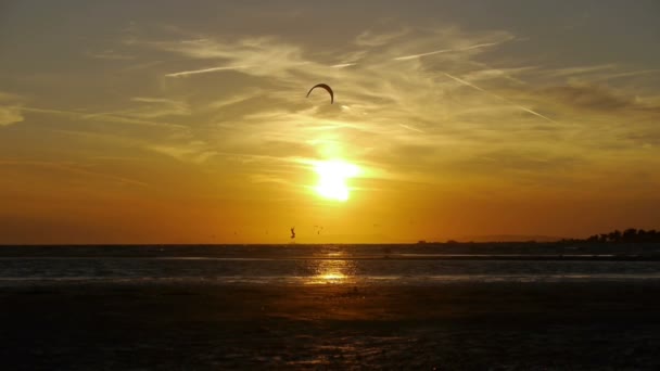Paragliding při západu slunce — Stock video