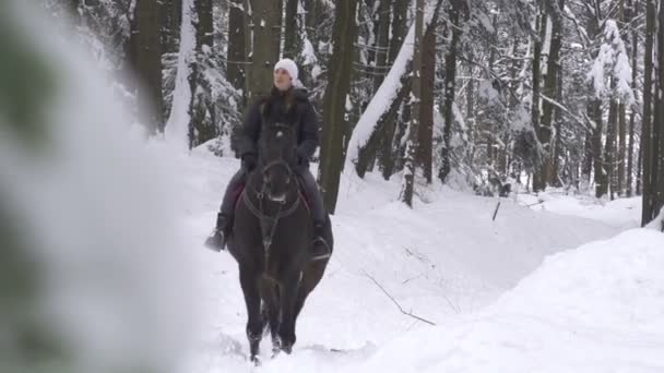 Młoda kobieta jazda konna w lesie śnieg — Wideo stockowe