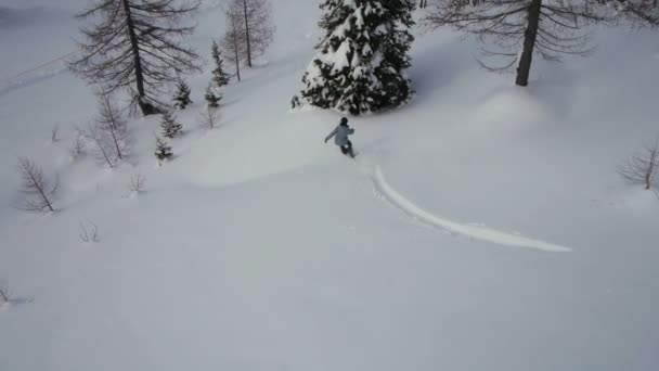 Snowboarder οδηγώντας σκόνη — Αρχείο Βίντεο