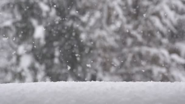 Caída de nieve — Vídeos de Stock