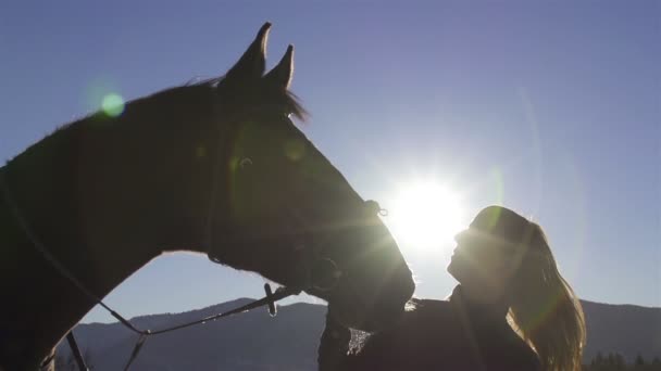 Young woman and horse nature. — Stock Video