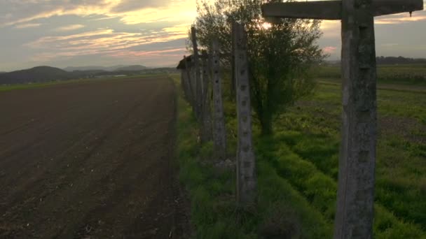 Volando sobre el campo — Vídeo de stock