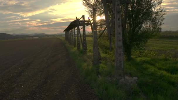 Блискучі поля сонця — стокове відео