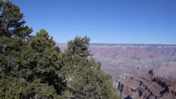 Flygande över grand canyon — Stockvideo