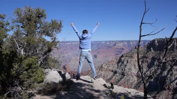 Mannen i grand canyon — Stockvideo